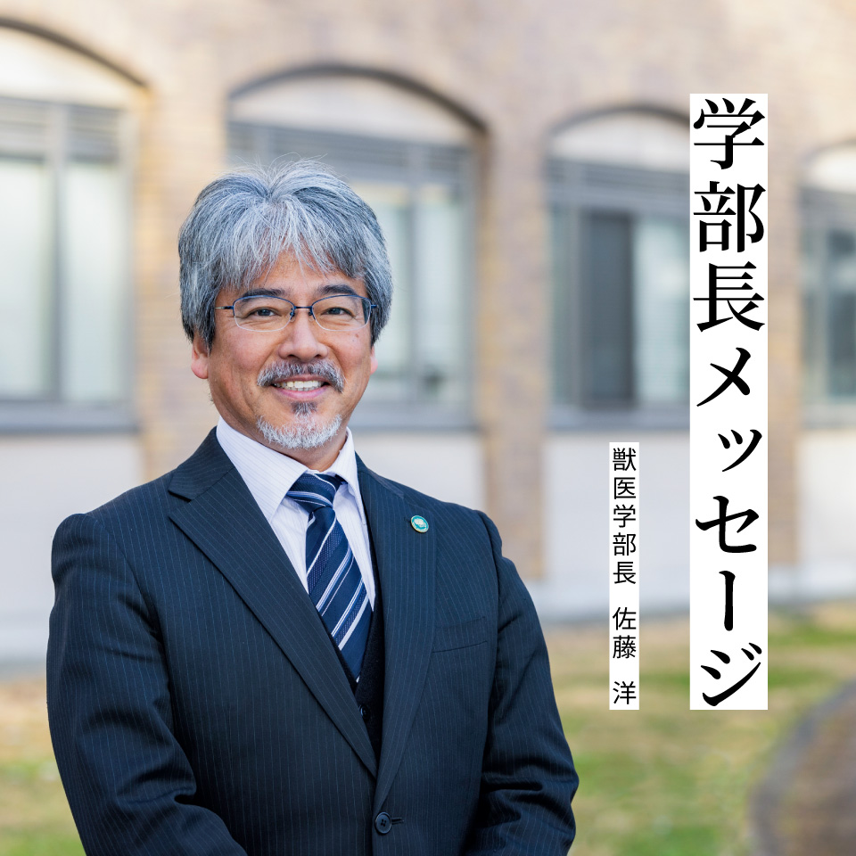 学部長メッセージ