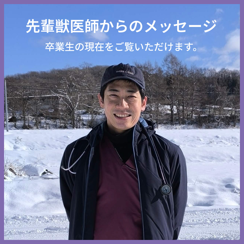 先輩獣医師からのメッセージ