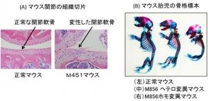 図1-15-300x147-300x147