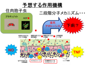 図5-300x213-300x213
